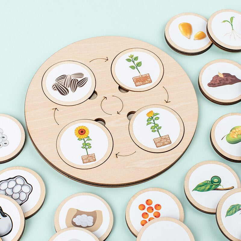 Woods™ - Leer de levenscyclus ontdekken! - Houten puzzel