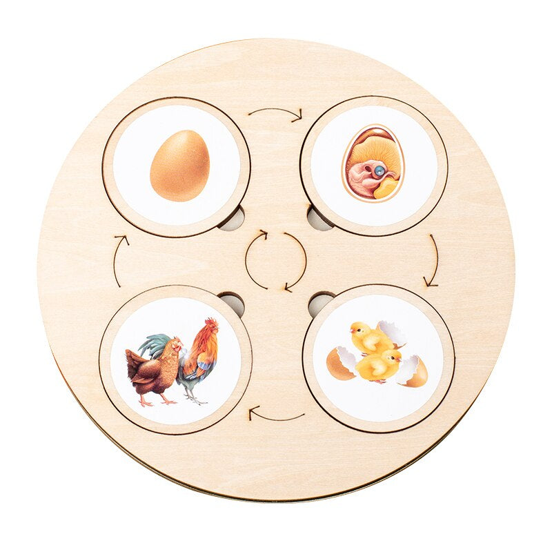 Woods™ - Leer de levenscyclus ontdekken! - Houten puzzel