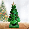 GrowTree™ - Kweek je eigen kerstboom! - Kerstboom kweekset (1+1 GRATIS)