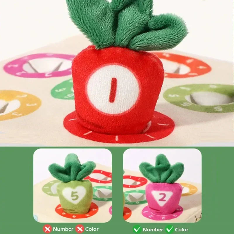 Sensory Carrots – Voelen & Plukken – Zintuiglijk Speelgoed