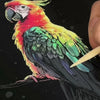 GlowArt – Glow-in-the-dark – Kraskaarten Set